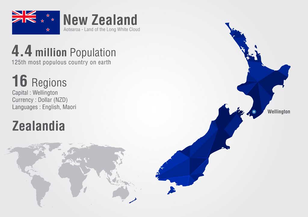 NZ Company Formation